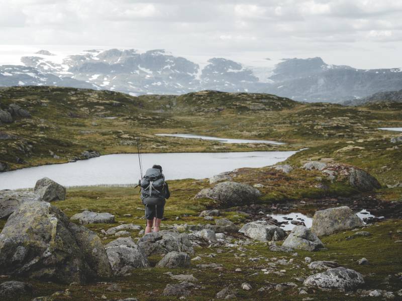 Kjeldebu 2 av Heidi Kvamsdal